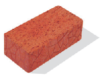 утолщенка полнотелая