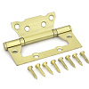 petlya_nakladnaya_fabrika_zamkov_e_2bb_100_sb_paket_komplekt