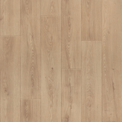 2e38f706cfd136066beebcab4bd385db